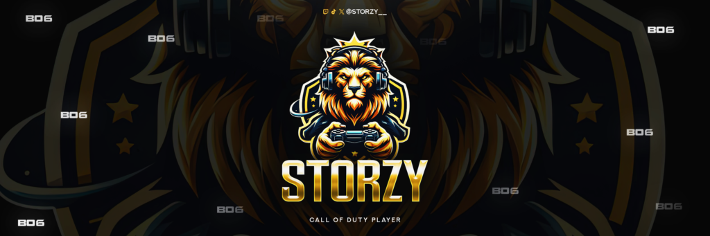 storzy x header